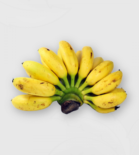 Single Products for website -03